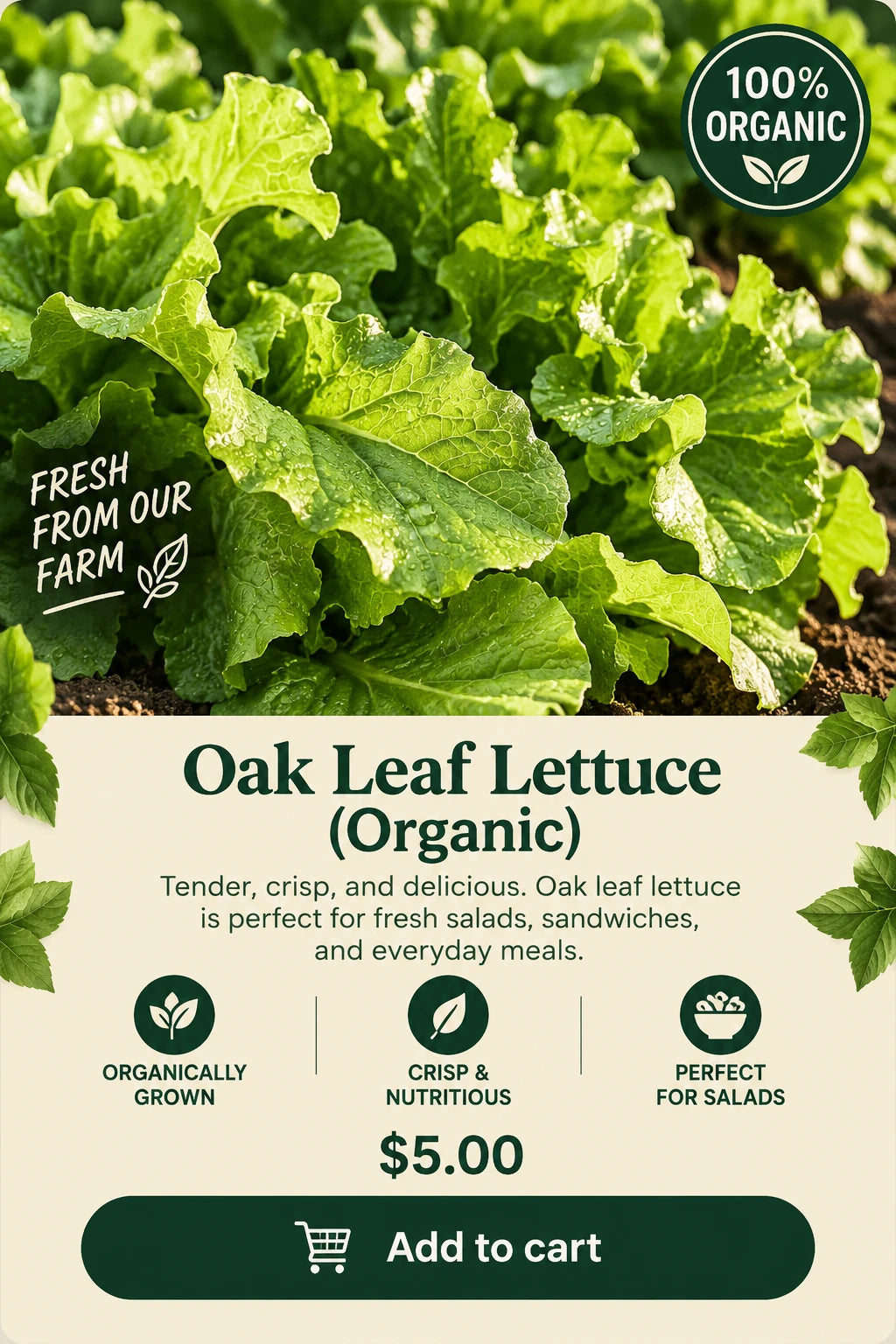 Oak Leaf Lettuce (Organic)