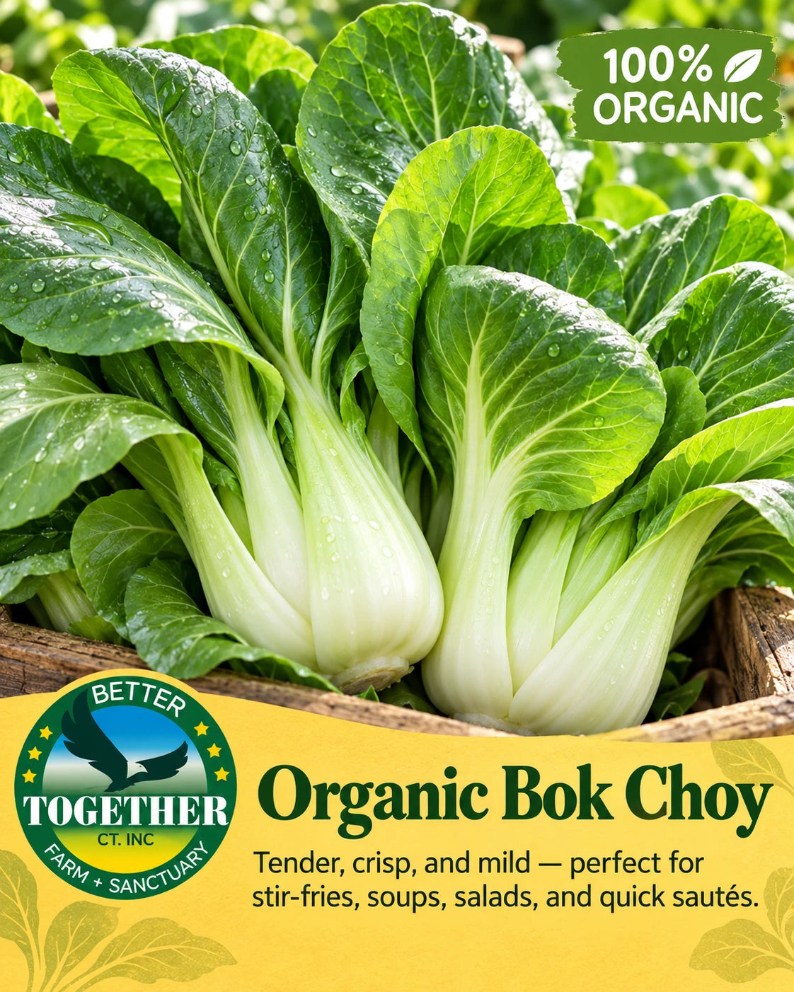 Organic bok choy