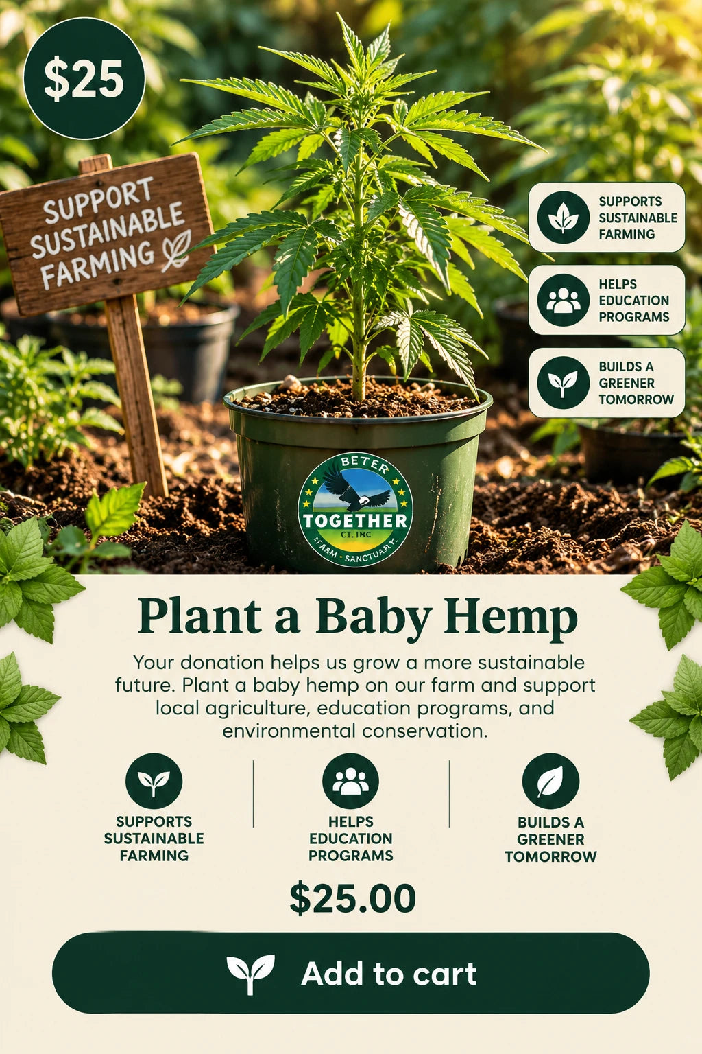Plant a Baby Hemp