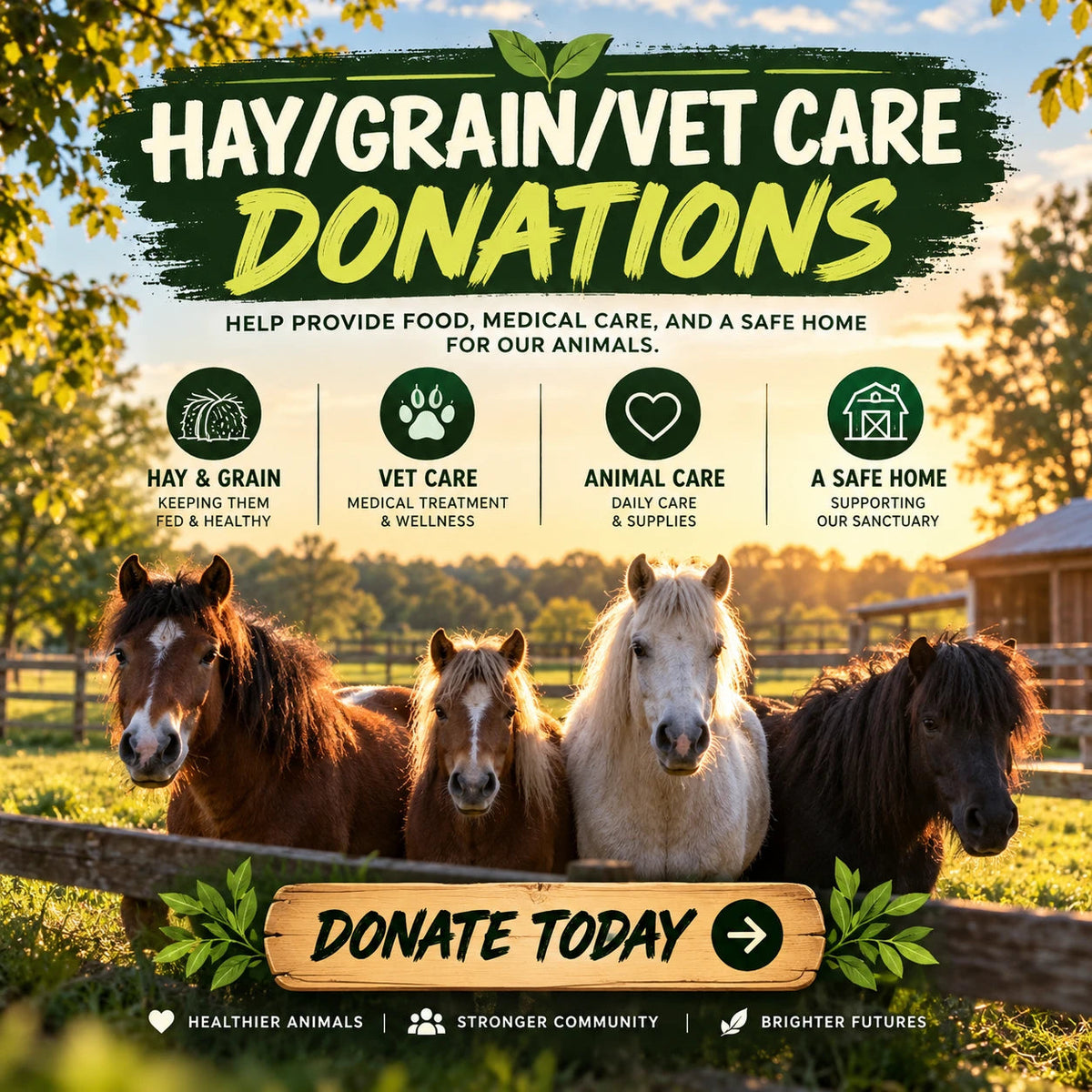 Hay, Grain & Vet Care