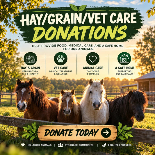 Hay, Grain & Vet Care