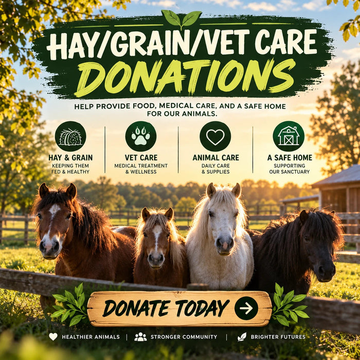 Hay, Grain & Vet Care