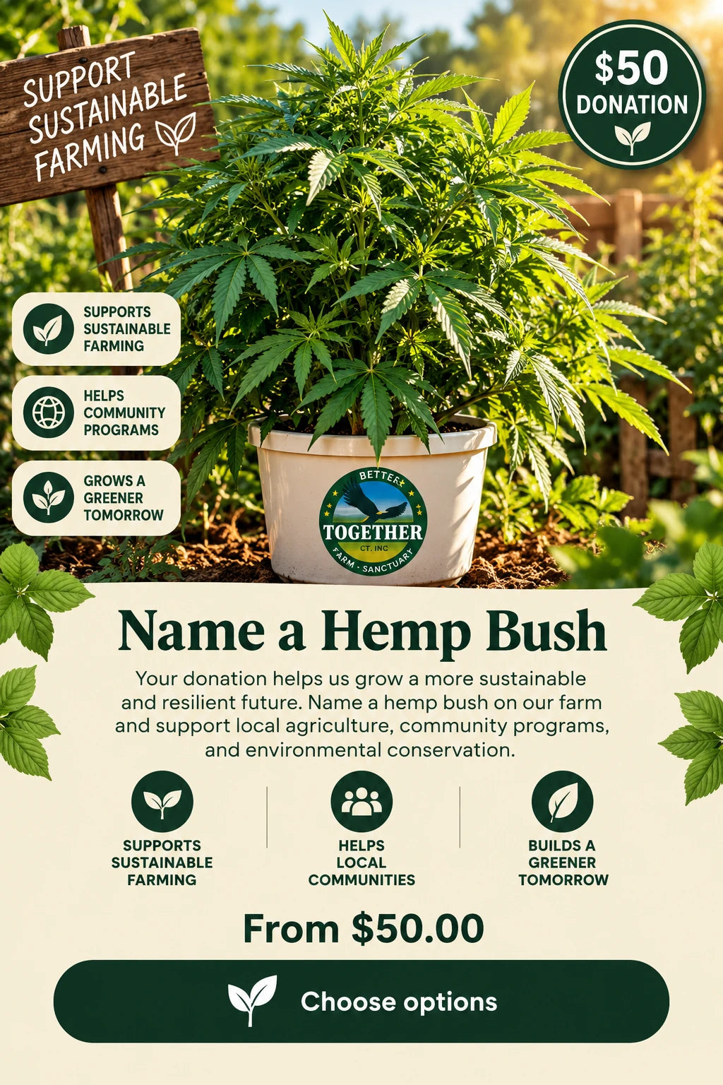 Name a Hemp Bush