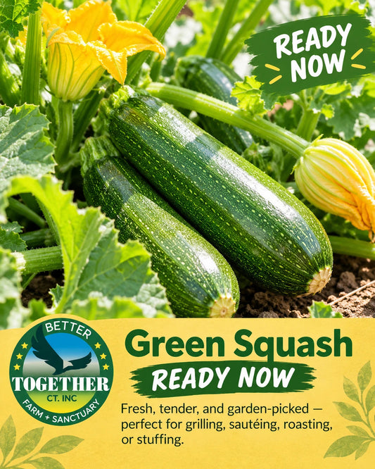 Green Squash