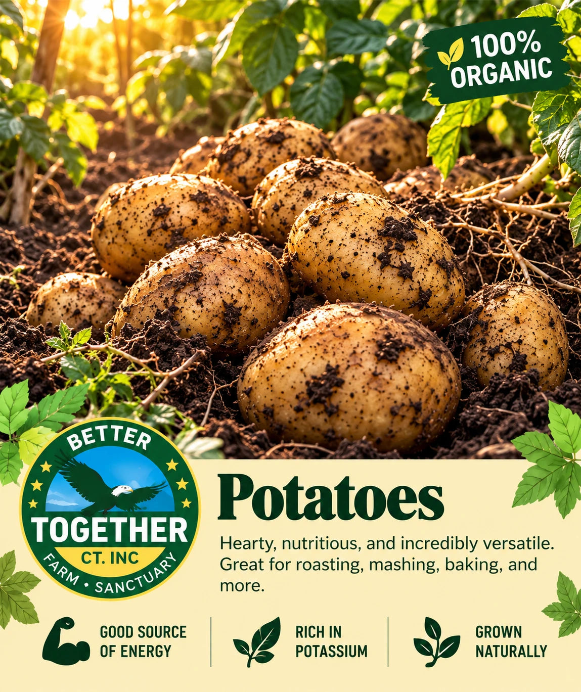 Potatoes (Organic)