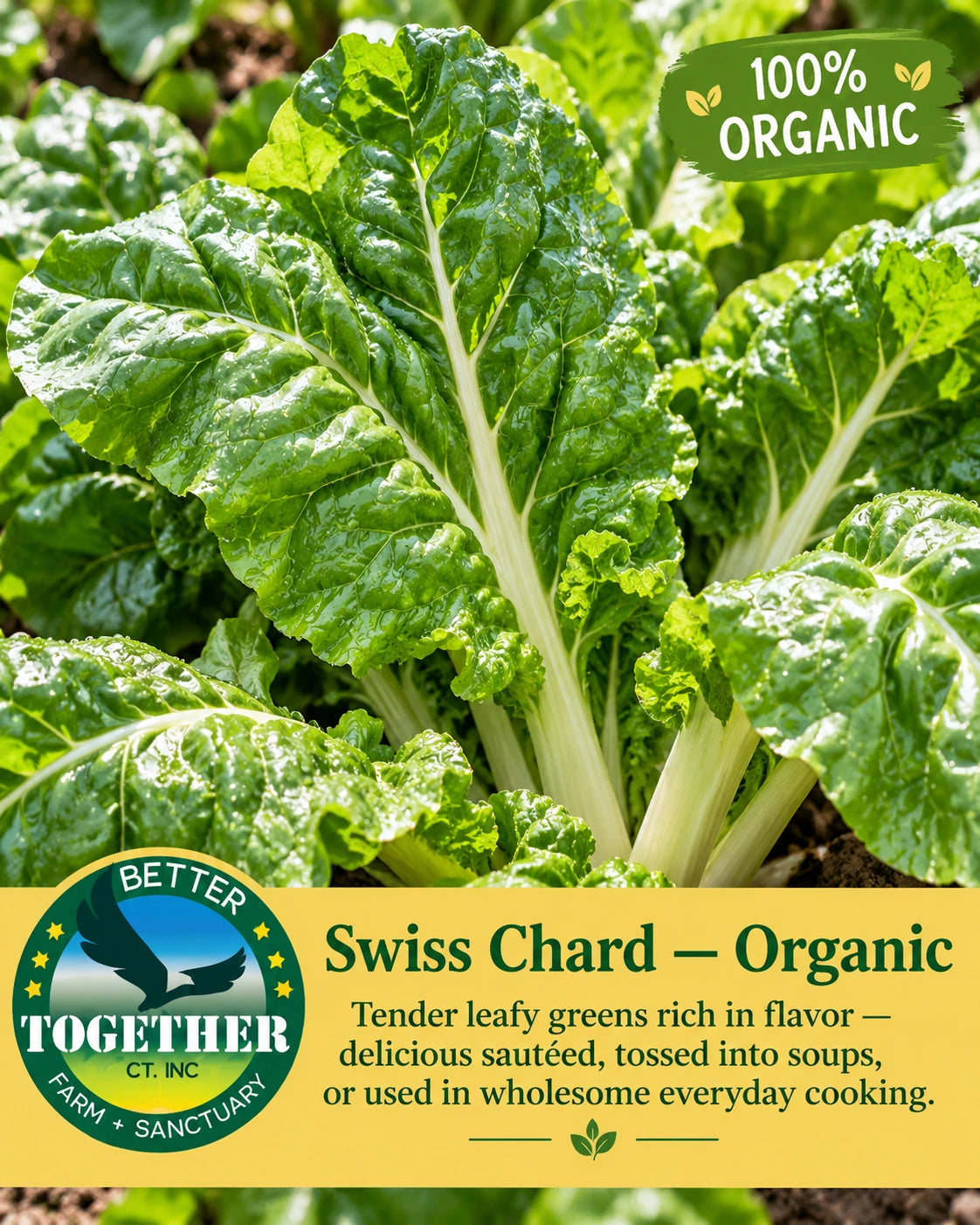 Swiss Chard (Organic)
