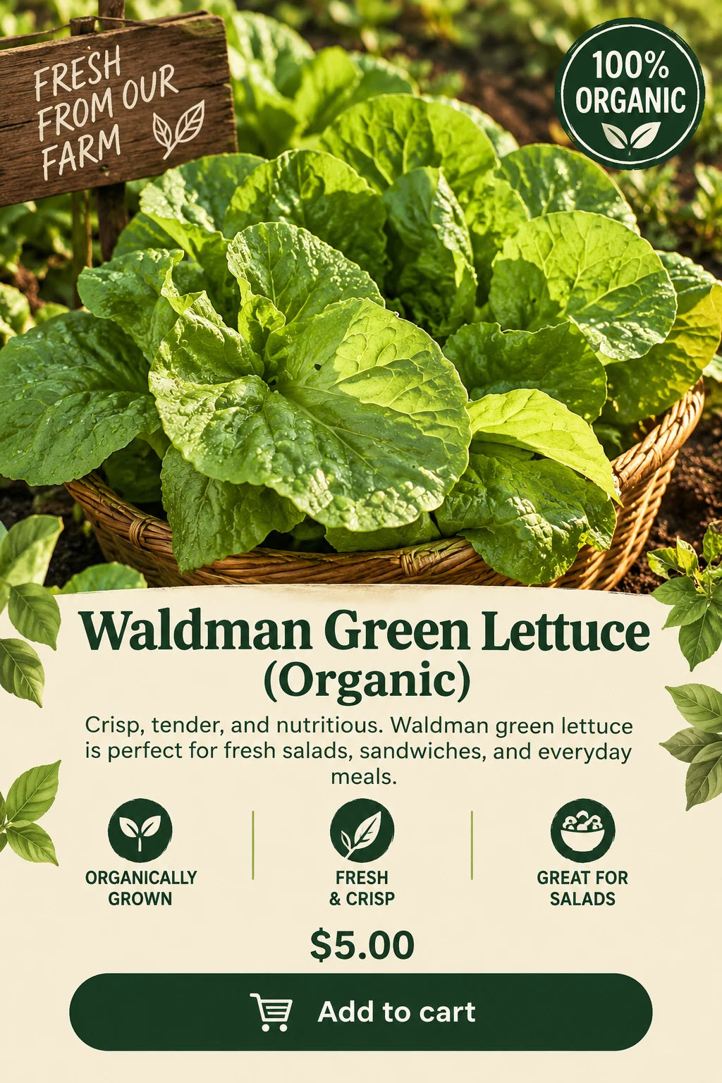 Waldman Green Lettuce (Organic)