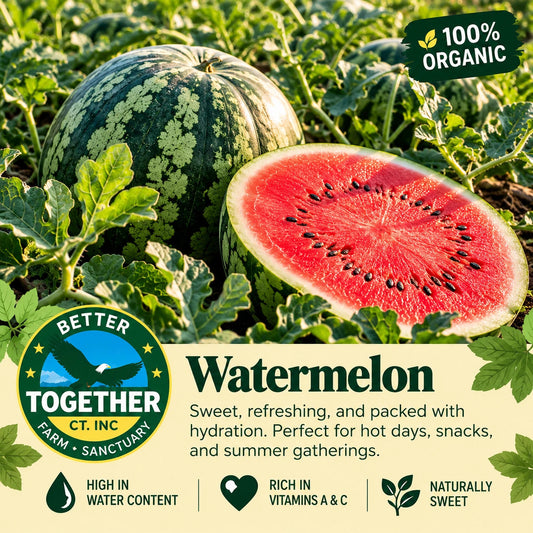 Watermelon (Organic)