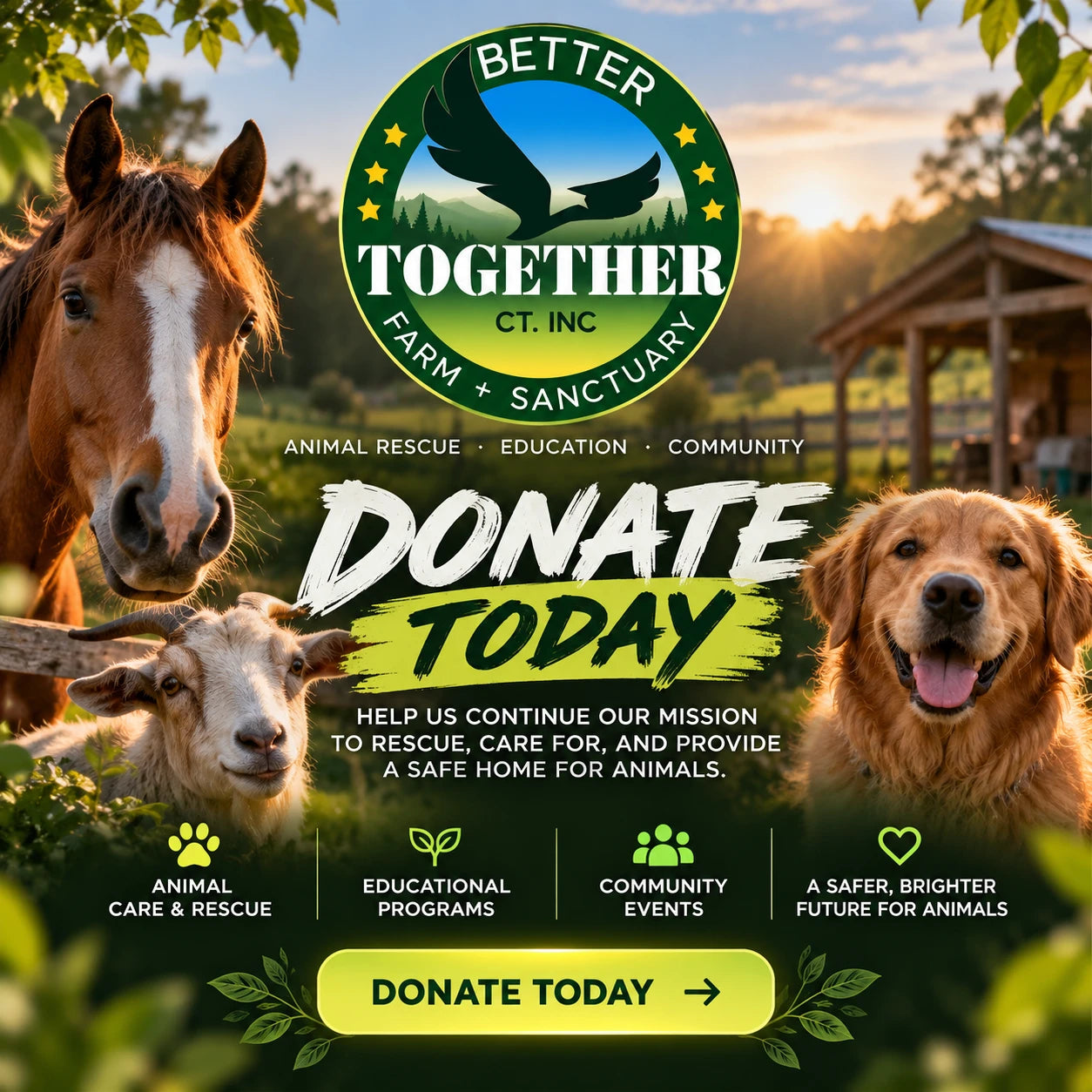 Donate