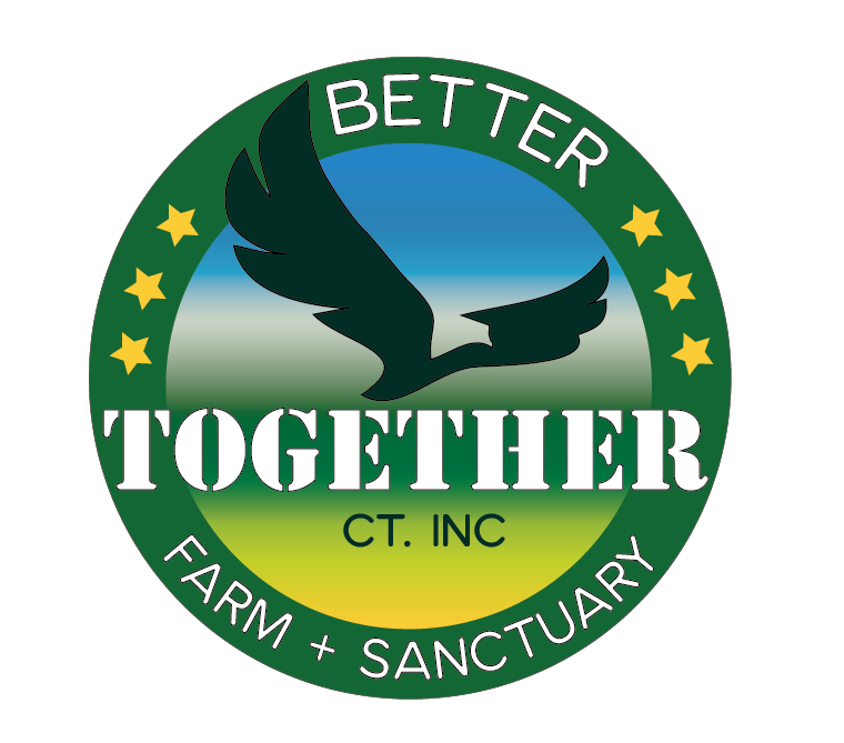 Better Together CT logo